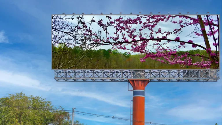 A photo illustration shows a billboard displaying a picture of redbud tree branches