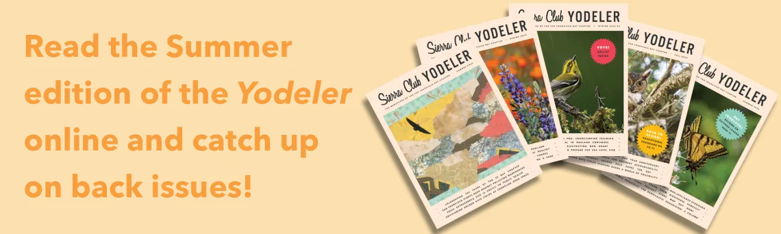 Read the Summer edition of the Yodeler online and catch up on back issues!