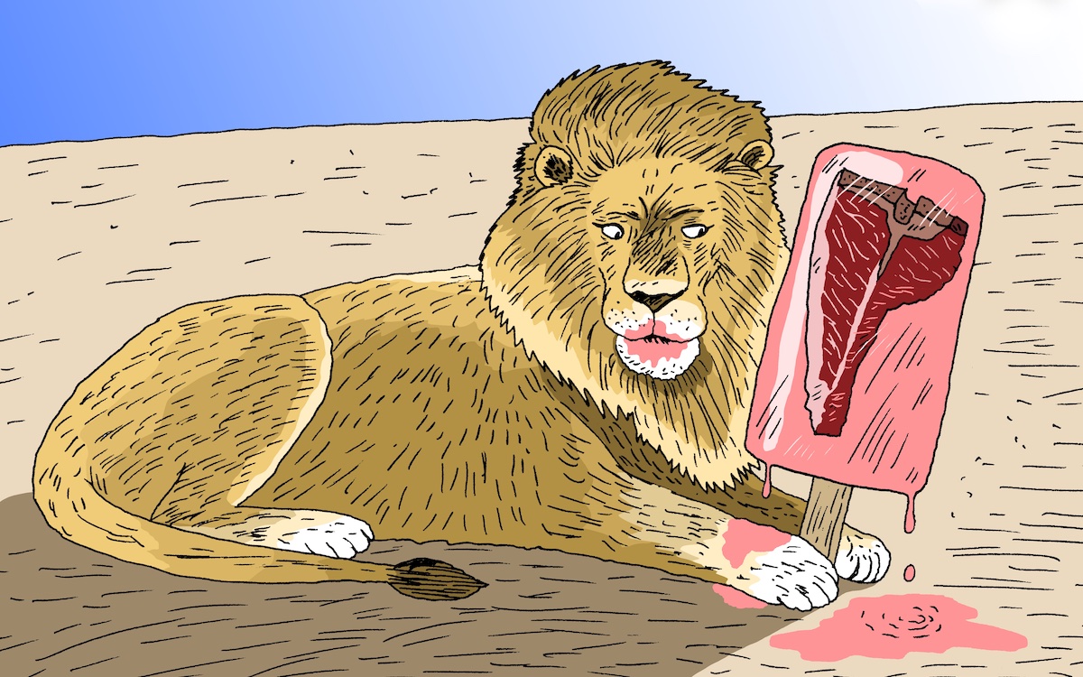 illustration of a lion eating a popsicle