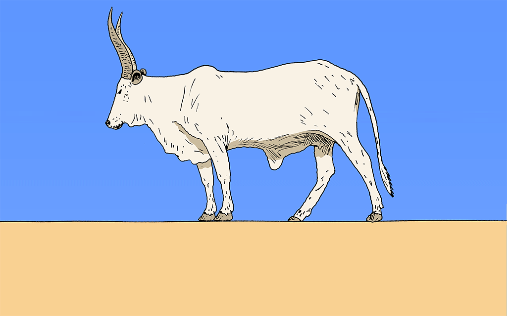 illustration of an animal walking on a splitting ground