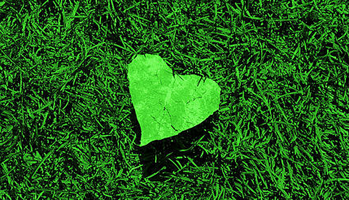 Green valentine