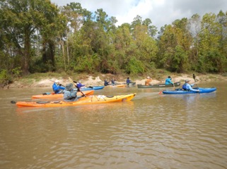 kayaks moving in the water
