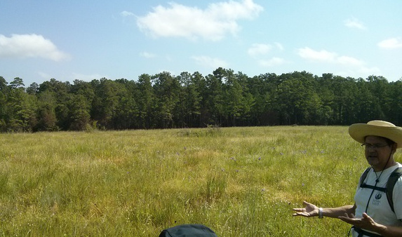 blackland prairie in the Sam Houston National Forest