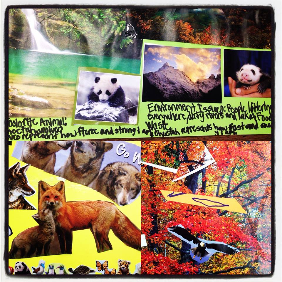 Collages by children at camp