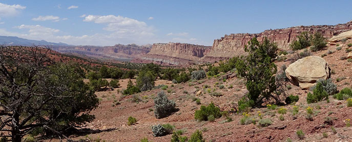 Looking north along the west side of the Waterpocket Fold, from Scenic Drive Rd.