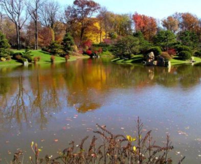 Missouri Botanical Garden pond