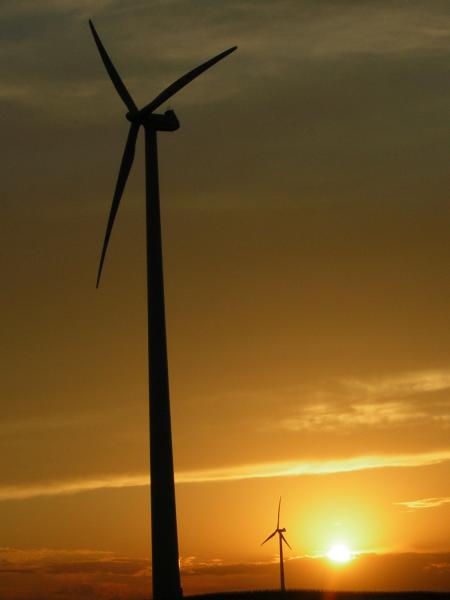 Wind Farm in Northern Iowa