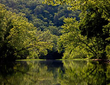 Canoeing down the Eleven Point River in the Irish Wilderness of the Ozarks.