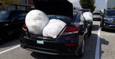 Plastic bags in trunk