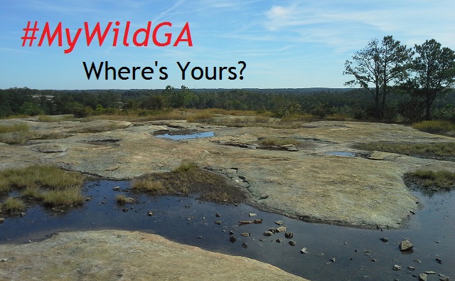 #MyWildGA Campaign