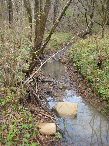 North Canton mine site tributary stream