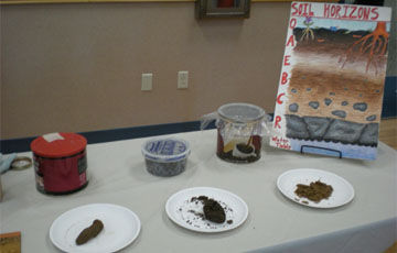 Soil Samples at the Day of Dirt