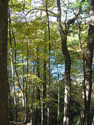 Round Lake, photographer Wikimedia user Easchiff - CC SA 3.0