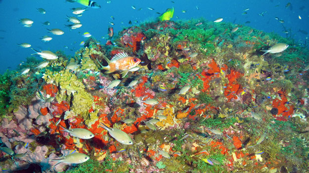marine sanctuary