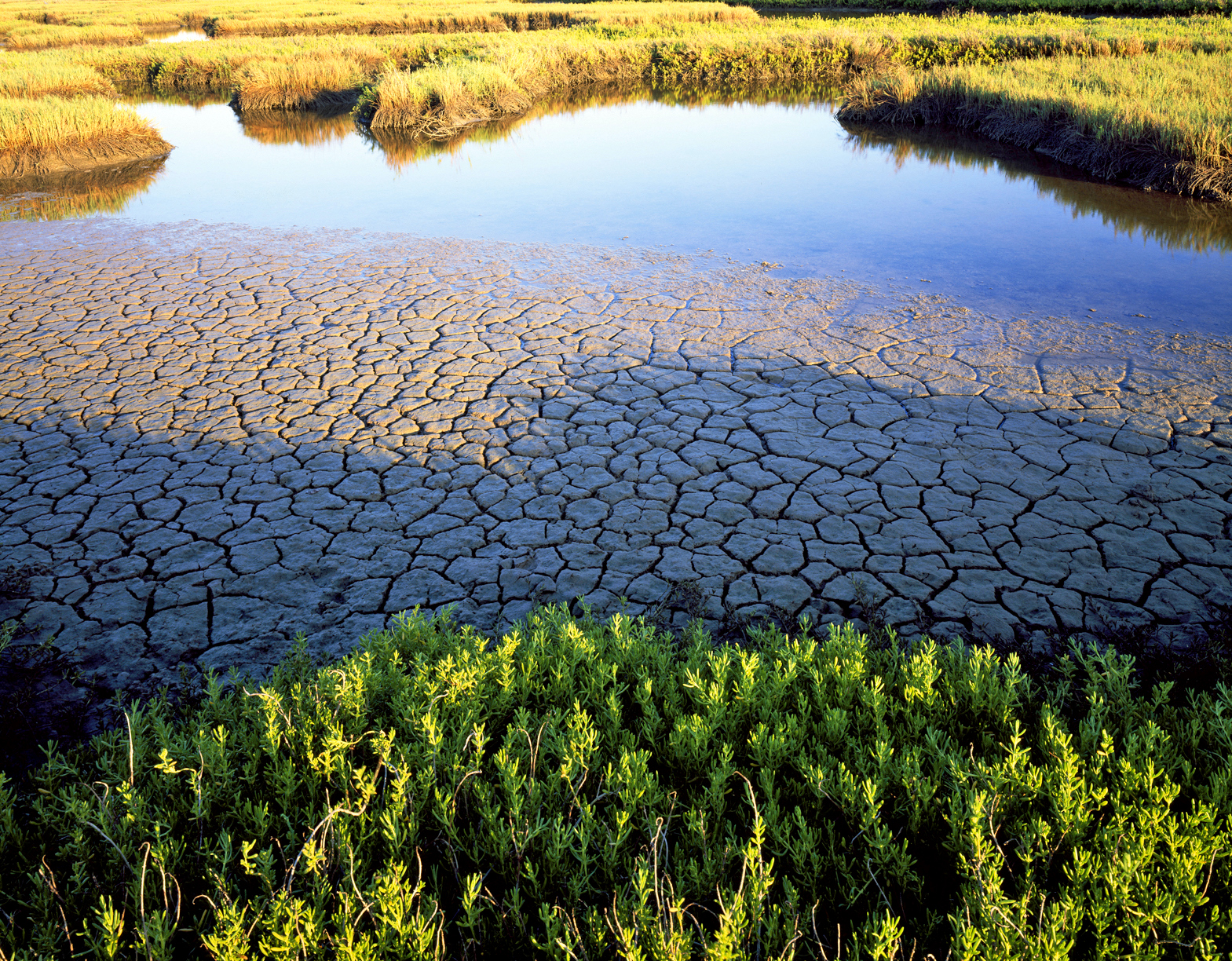 Indianola Salt Marsh (Charles Kruvand)