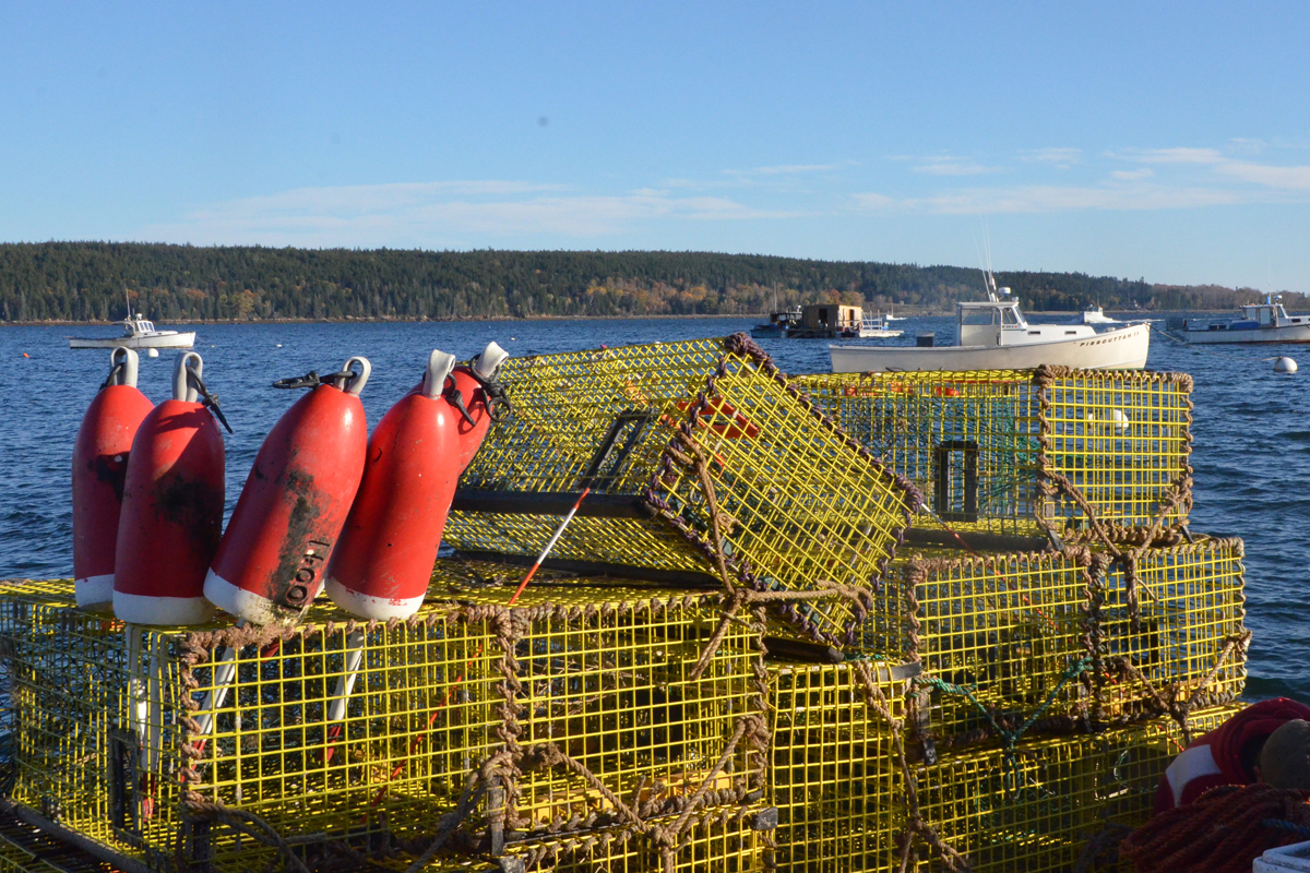 Blue Hill Lobster Traps