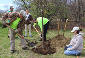 People planting trees