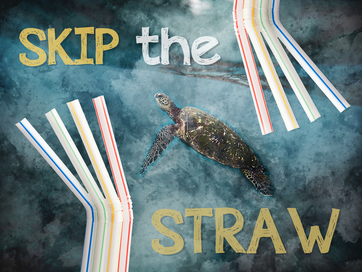 Skip the Straw
