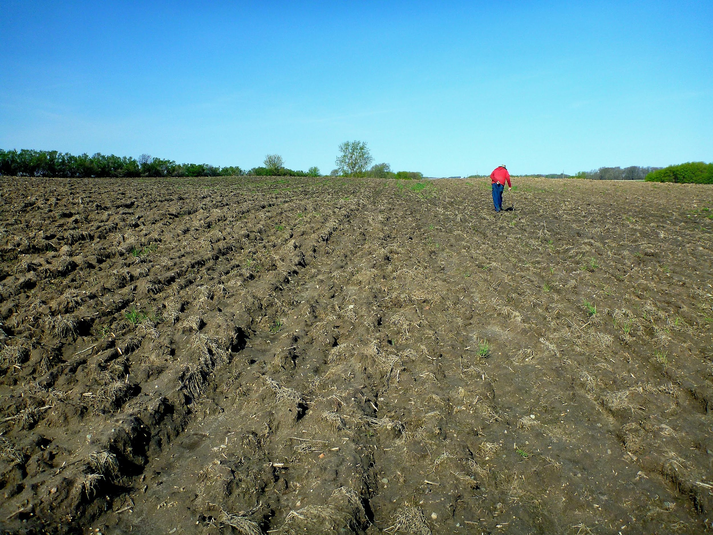 photo of a man walking across the plowed dirt of an empty farm field. Photo credit: Bob Suchanek