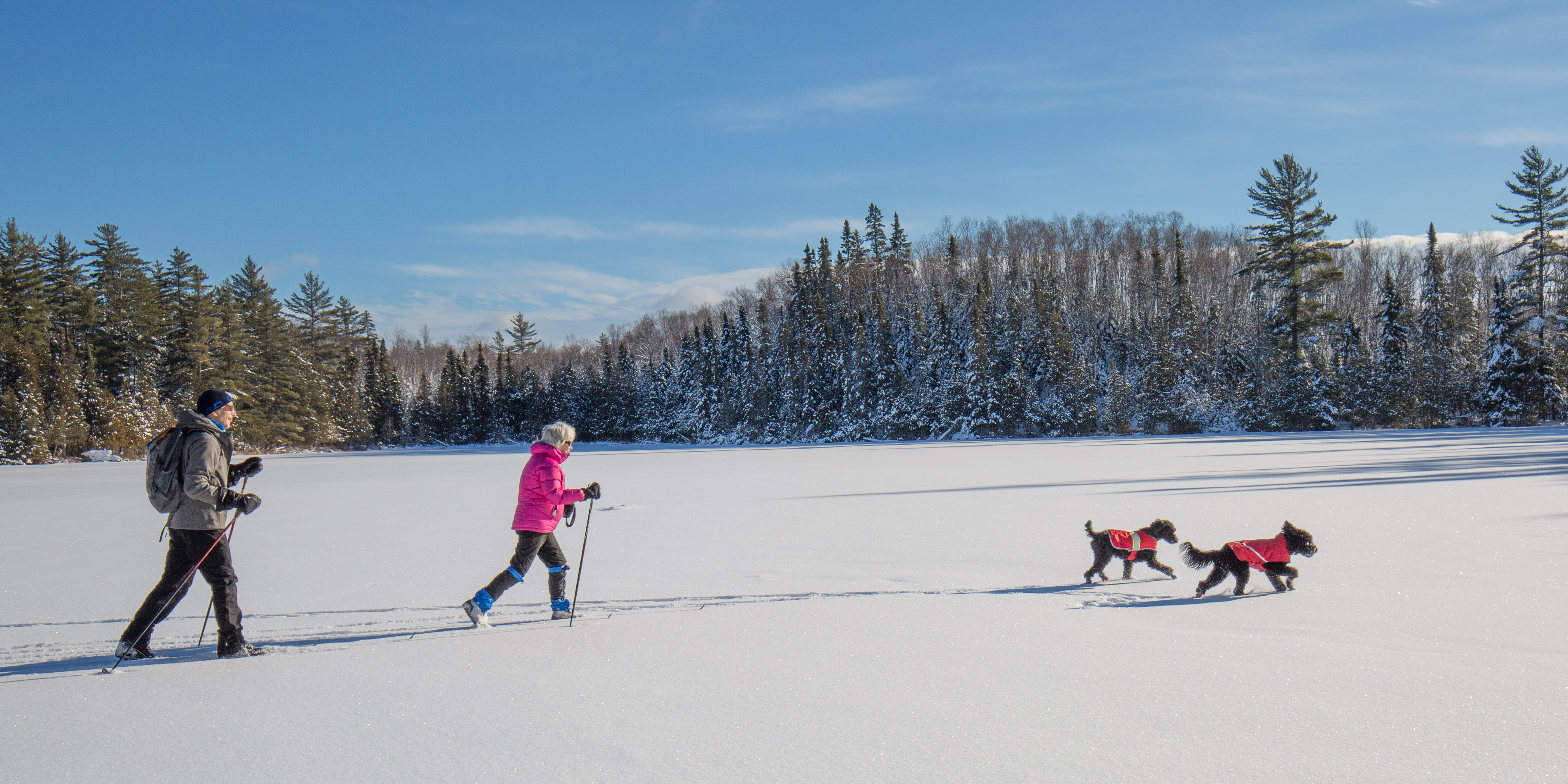 photo of 2 people skiing across Ojibway Lake Ski with 2 dogs. Photo credit: Chuck Dayton