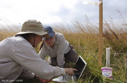Two women in uniform working in tall grass, looking at a laptop