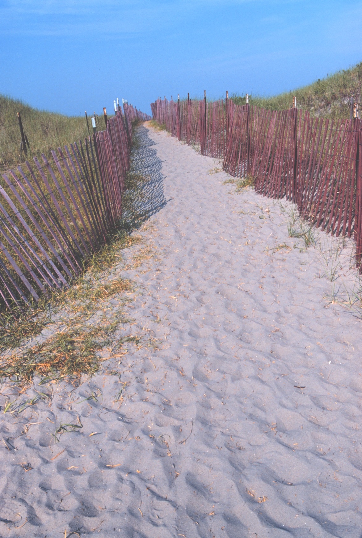 Sandy path between picket fences through beach dunes