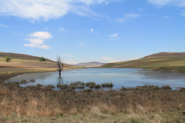 Small reservoir drying up with dry, grassy hills surrounding it