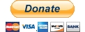 Donate button with accepted cards Visa Mastercard AmEx Discover