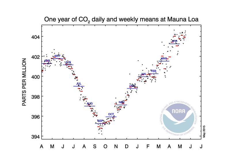 Dot graph of one year of CO2 averages showing new high of 400 ppm