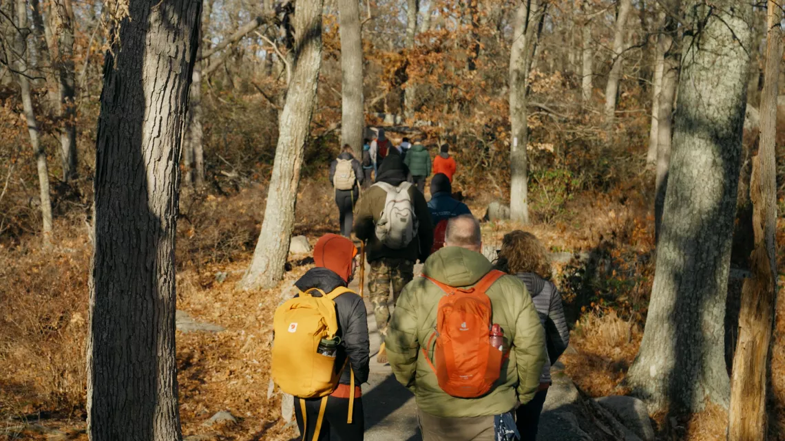 People walking along a trail in the woods