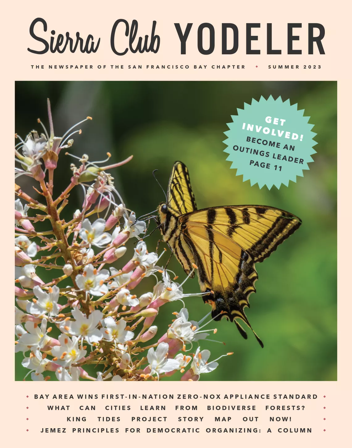 Yodeler Summer 2023 Cover with a western swallowtail butterfly perched on a California buckeye.