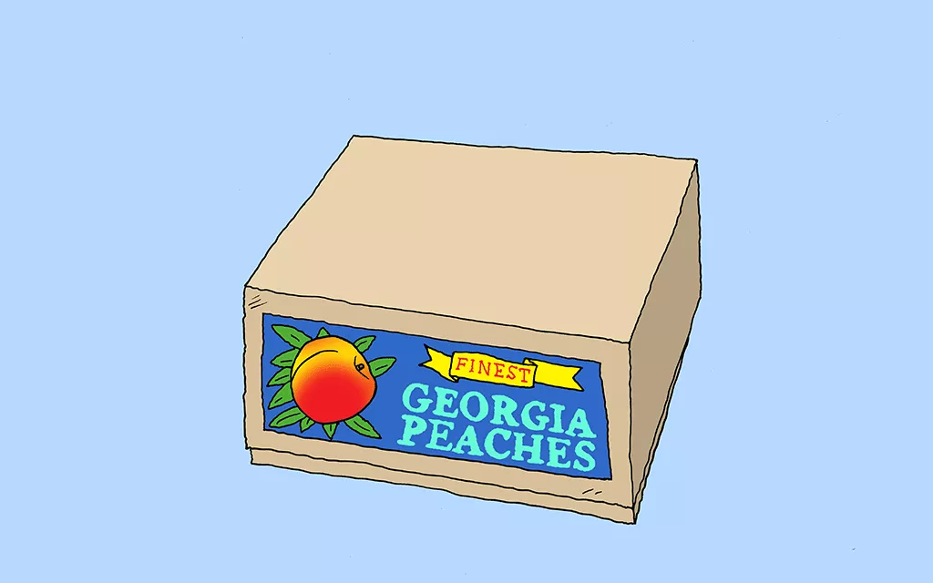 Illustration of an empty box of peaches