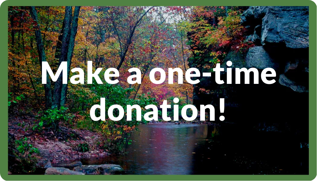 Make a one-time donation!