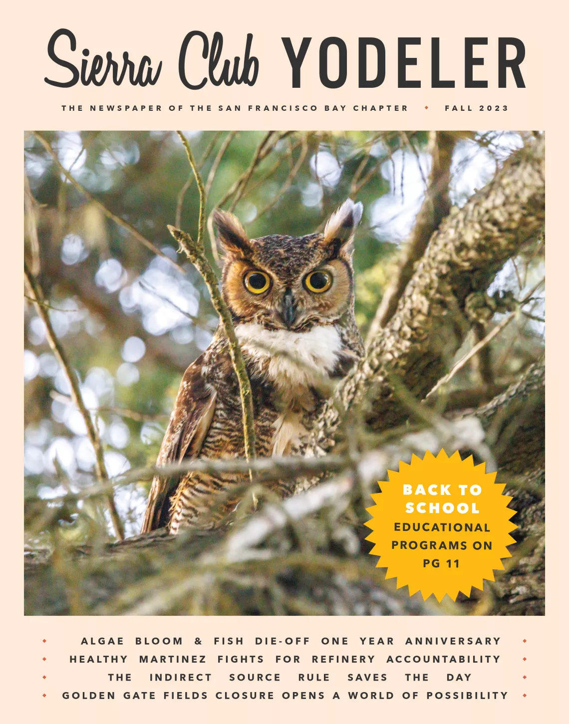 Yodeler Fall 2023 Cover with a Great Horned Owl perched in a tree in the Marin Headlands. Photo by John Andrew Murphy.