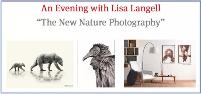Evening with Lisa Langell