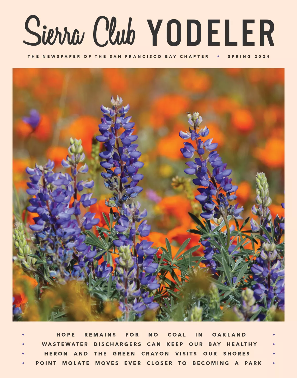 Spring 2024 Yodeler Cover