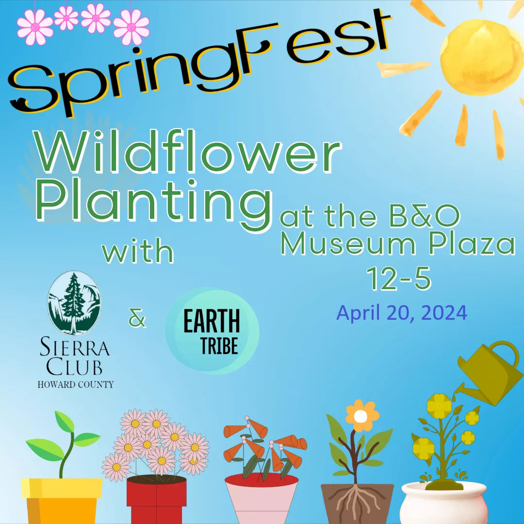 Flyer announcing SpringFest Wildflower Planting event on April 20, 2024