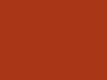 A reddish orange blank image.