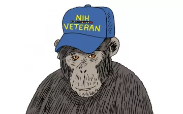 chimpanzee with a hat that says "NIH veteran'