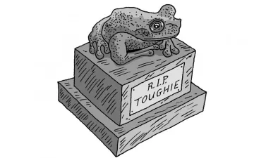 memorial to a frog that says 'RIP Toughie'