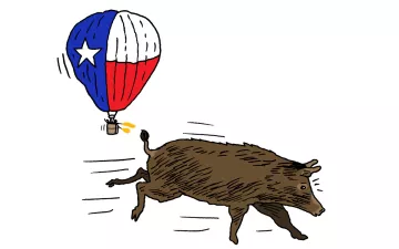 illustration of a hog chased by an air balloon decorated like a Texas flag