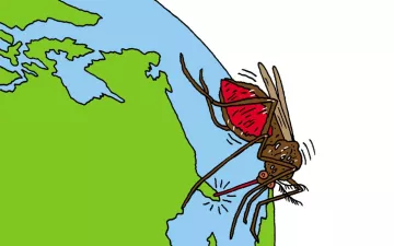 mosquito on a globe