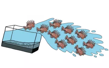 illustration of 10 lion fish escaping from an aquarium