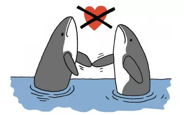 illustration of two orcas with a crossed out heart in the middle