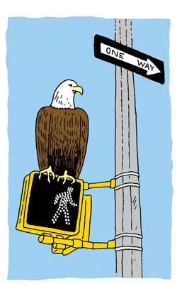 a bald eagle sitting on a walk sign
