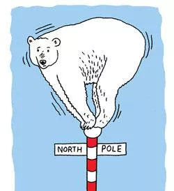 a polar bear balancing on top of a sign that says 'North Pole'