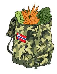 illustration of an army bag filled with vegetables