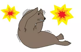 illustration of a seal holding its ears surrounded by explosions
