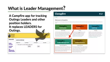 graphic leader management