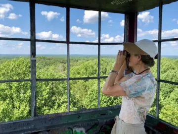 A person standing at a lookout point, looking out of the windows using binoculars. They are looking over a forested area. The trees are green and the sky is a blue, with a few fluffy clouds.